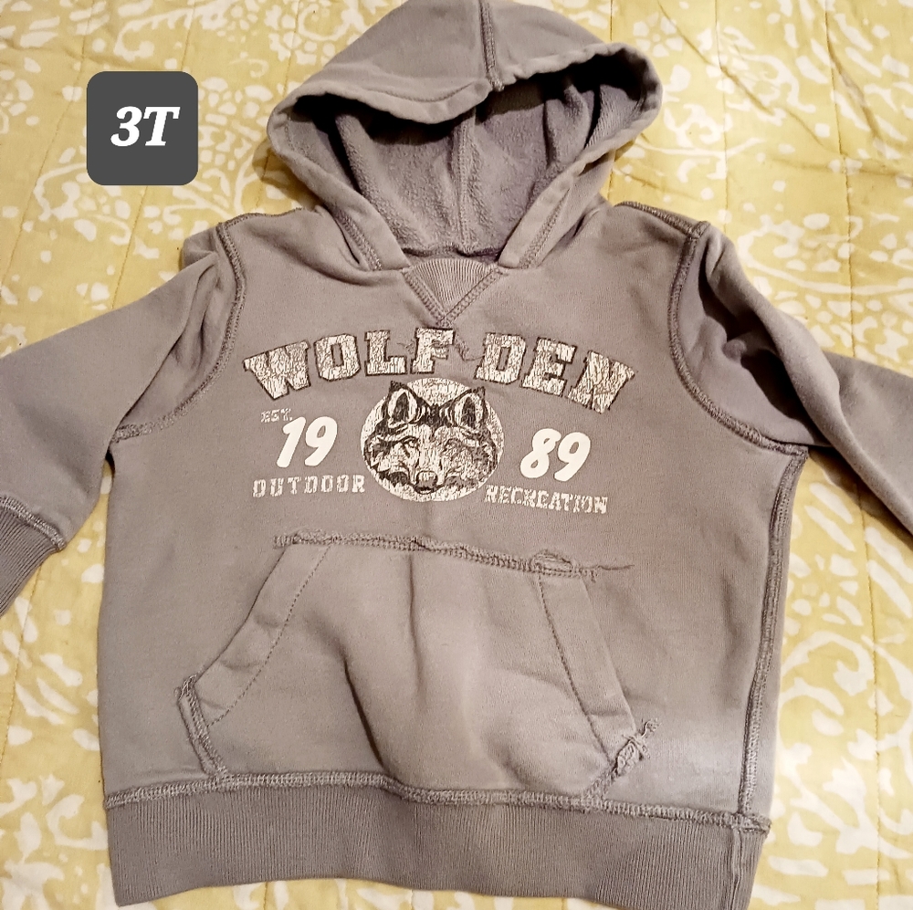 Est. Place vintage inspired hoodie 3T